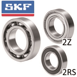 6000-2Z-SKF